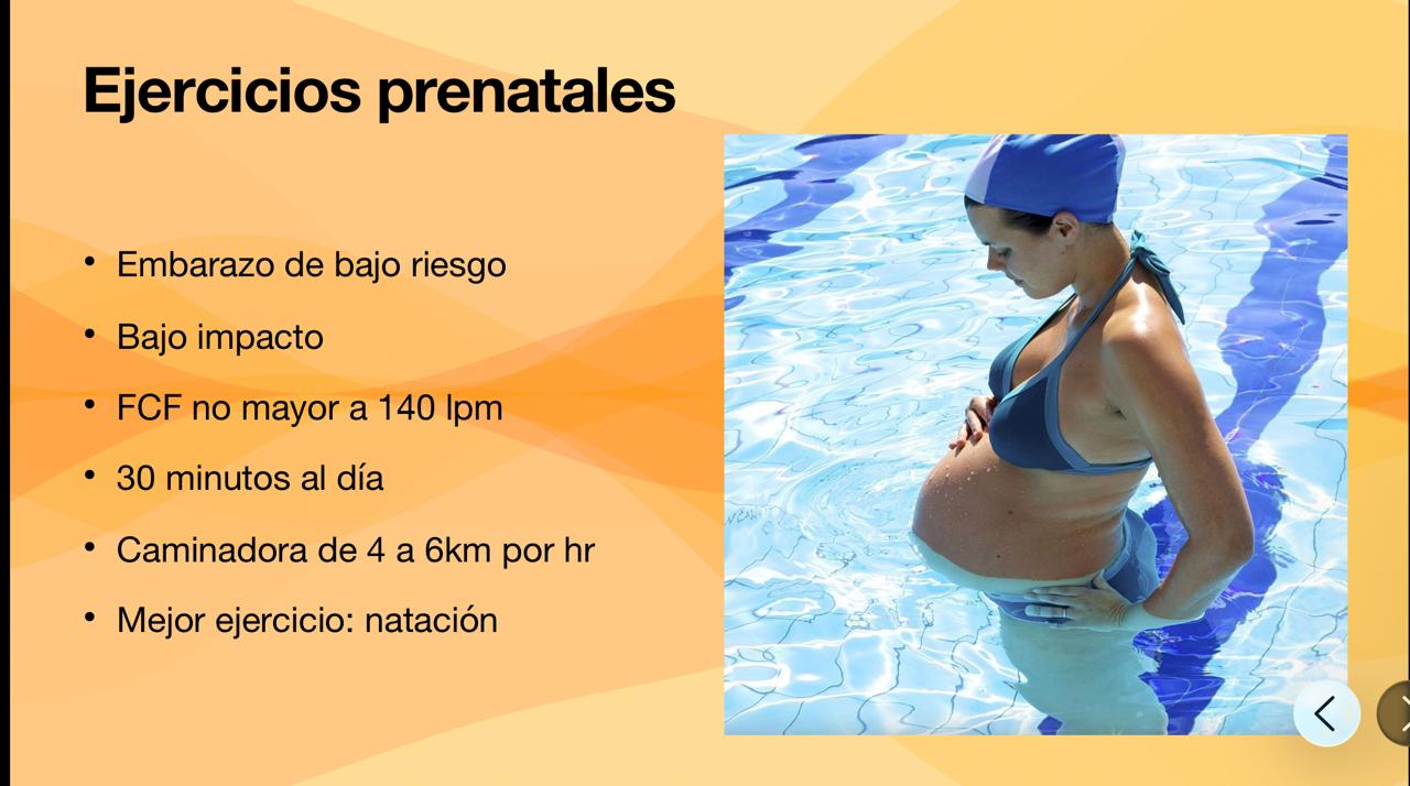 Lo indispensable del embarazo